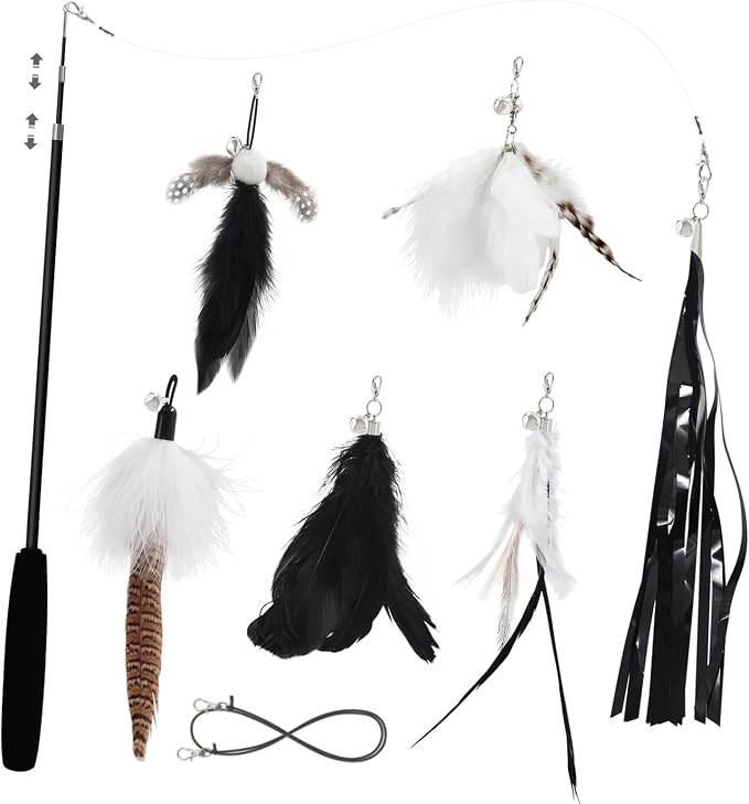 SONGWAY Cat Wand Toys for Indoor Cats - Cat Toy Set with Retractable Teaser Wand and 6 PCS Feather Toy Refills, Dragonfly Tassel Cat Toys Interactive, Black