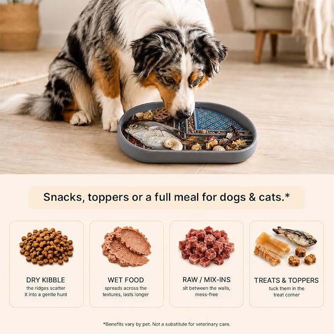 Snack Dish Slow Feeder Bowl for Dogs & Cats – Dual Pattern Design with Treat Corner, Mess-Free Feeding, Dishwasher Safe | Kubi Pets | (Gray)