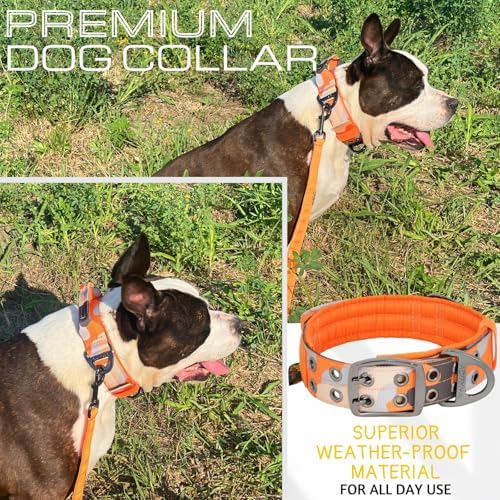 ADITYNA Heavy Duty Orange Dog Collar for Large Dogs with Traffic Handle