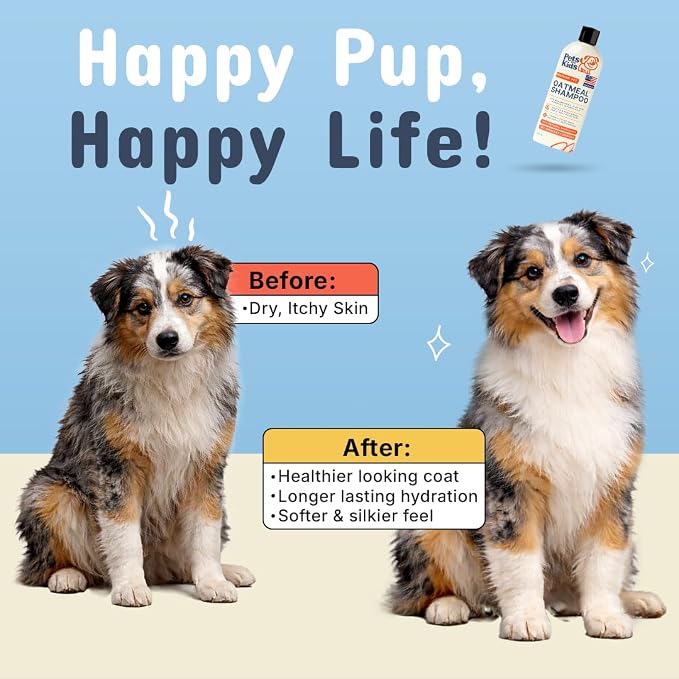 Pets are Kids Premium Oatmeal Shampoo for Itch Relief & Shiny Coat, 17 oz | Natural Itch Relief, Dry Skin Soother, Hydrated & Shiny Coat, with Aloe, Coconut & Baking Soda, Hypoallergenic, For Dogs