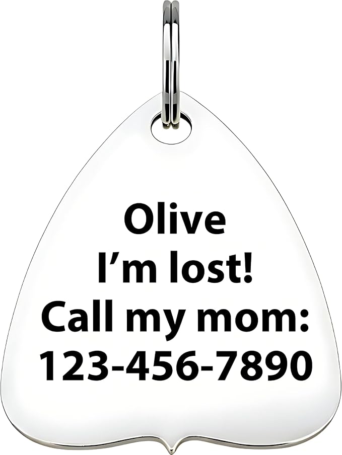 Bad Tags Personalized Dog and Cat ID Tags in 25+ Designs and 2 Sizes - 4 Lines of Custom Engraved Text - Funny Cute Personalized Pet Tags (Summon My Mom, Small (1 inch))