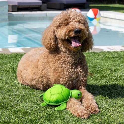 Fringe Studio Snappy Floating Dog Toys, Pet Shop Collection (640008)