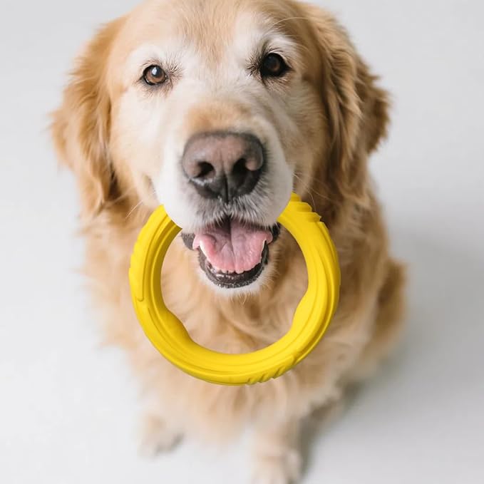 Indestructible Dog Ring Toy, Rubber Soft Dog Chew Toys, Small Medium Large Dogs Frisbee for Aggressive Chewers,Suitable for Tossing, Pulling Training-6.69in Flying Disc (1 Ring)