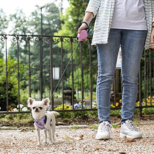 Extendable Leash for Small Dogs Flippy ONE Cord Mini, 3 m Retractable Cord, max 8 kg, Blue