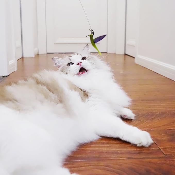 TTcat Cat Toy Hummingbird Refill Attachments with Bell & Feather, Replacement Bird Wand Toy Accessories for Interactive Cat Teaser Stick, Soft Furry Bird Kitten Chase Play Toys for Indoor Cats.