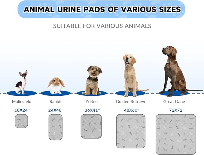 Sunheir Washable Pee Mats for Dogs - Large 48" x 48" 2-Pack Reusable Puppy Pads, Absorb Dog Mats, Whelping Pad, Non-Slip, Protects Urine Leakage (Light Grey, 48x48)