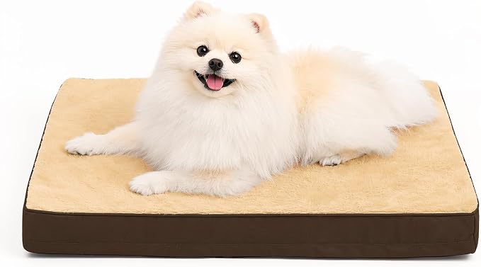 NUPIDA Waterproof Small Dog Bed for Crate with Washable Cover, 23x17, Brown | Cat Puppy Bed, TPU Waterproof Layer, Soft Plush Surface, Durable Oxford Fabric, Non-Slip Bottom, For Small Breeds ≤20lbs