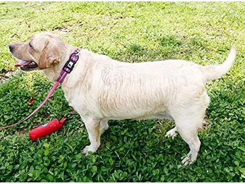 Nimble Reflective Waterproof Dog Collar Adjustable Odor Resistant Easy Clean Pet Collar for Small Medium Large Dogs Night Walking Outdoor Rainy Use (Large (15.35”-24.8”inches), Rose Purple)