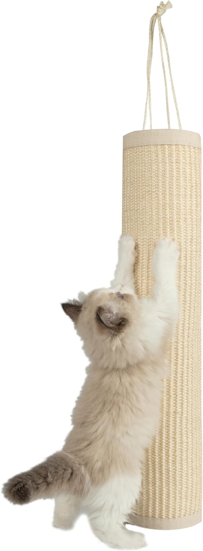 Best Pet Supplies Catify Cat Scratcher, Fun Interactive Scratchers, Posts, Poles, Claw Safe, Furniture Saver Indoor Play Support Natural Cat Behaviors Heavy Duty - Beige Log