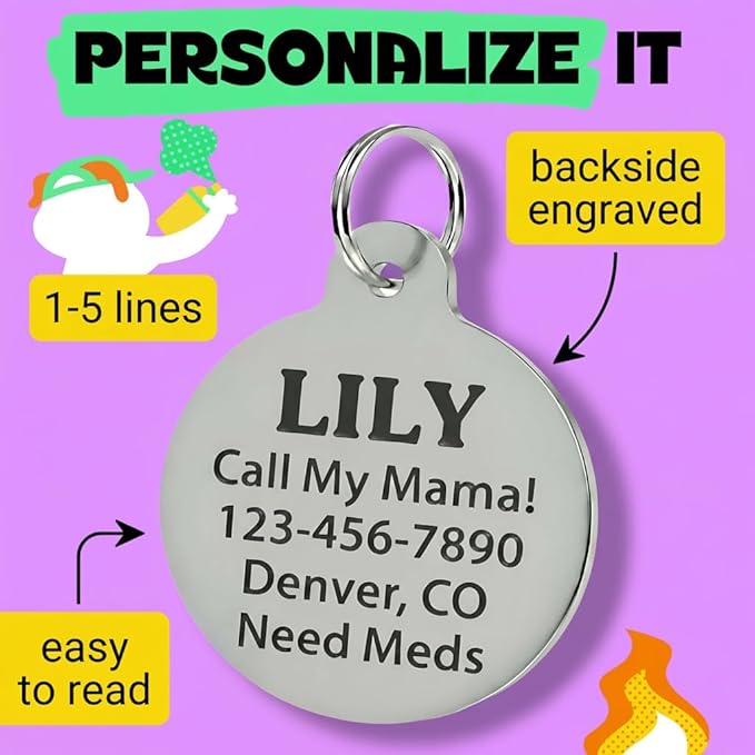 Bad Tags Personalized Dog and Cat ID Tags in 25+ Designs and 2 Sizes - 5 Lines of Custom Engraved Text - Funny Cute Personalized Pet Tags (I Bark at C*NTS - Rainbow, Small (1 inch))