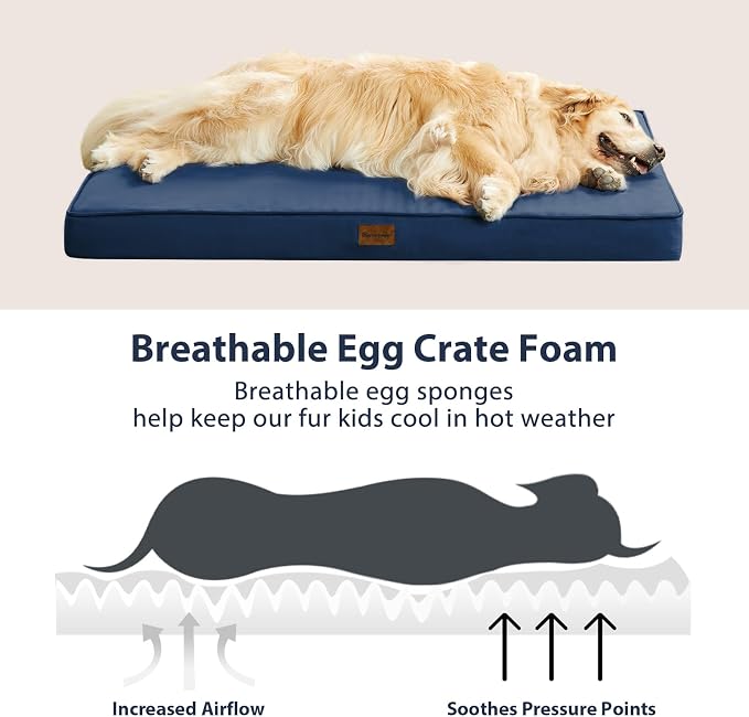 BFPETHOME Outdoor Waterproof Dog Bed for Large Dogs, Washable Cover, 36" | Outdoor & Indoor Use, Waterproof, For Medium, Large, Extra Large Dogs, Orthopedic, Egg Crate Foam, Up to 60 lbs