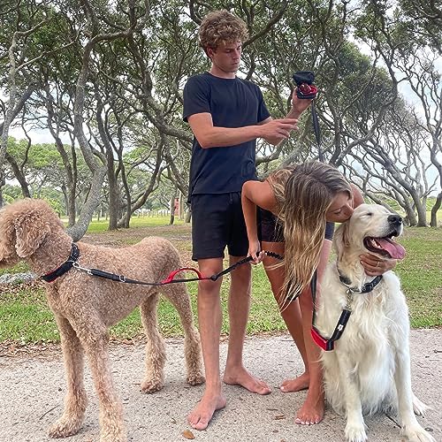 Black Rhino 6 ft Long Heavy Duty Dog Leash with Traffic Handle for Medium and Large Dogs - Padded Neoprene Dual Handles, Bag and Clip - Reflective, Durable, and Weather Resistant - Purple
