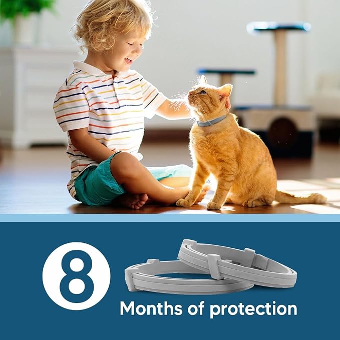 Flea Collar for Cats, Cat Flea Collar, Kitten Flea Collar, Flea and Tick Collars for Cats, Adjustable Cat Tick Collar with 8 Months Protection-2 Packs