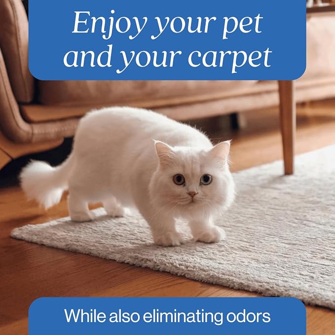 Oxy Pet Carpet Cleaner Spray | Pet Stain Remover for Pet Urine, Cat Pee, Dog Poop | Deep Spot Treating Action on Carpeting, Upholstery, Laundry, Pet Beds & More (160 Fl Oz)