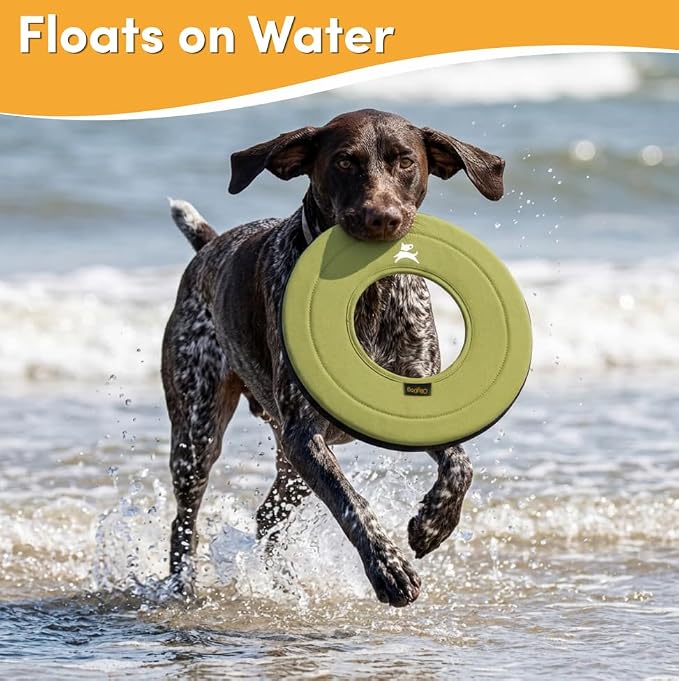 OllyDog Super Flyer Dog Flying Disc – Floating Fetch Toy for Water Play, Soft Eco-Friendly Recycled Fabric, Gentle on Teeth, 11" for Medium & Large Dogs (Alchemy, 11")