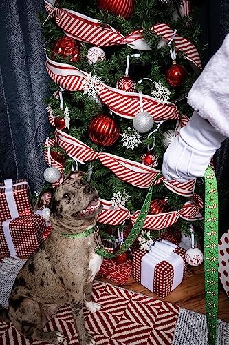 Country Brook Design - Candy Cane Christmas Everyday Dog Leash - Christmas Collection Featuring Festive Designs (4 Foot, 5/8 Inch Wide)