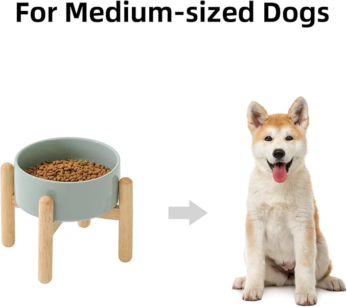Havniva 6.1inch Ceramic Raised Dog Bowl with Stand, Elevated Dog Bowls for Small and Medium Breed Dog Food and Water Bowl Non-Slip Dog Dish Large Capacity Feeding Pet Water Bowl