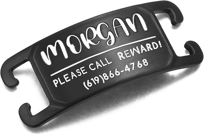 Rugged & Refined: Immovable Slide-On Pet ID Tag - Silent No-Noise Design - Deep Laser Engraved Horology-Grade Steel - Extra Small | PVD Black
