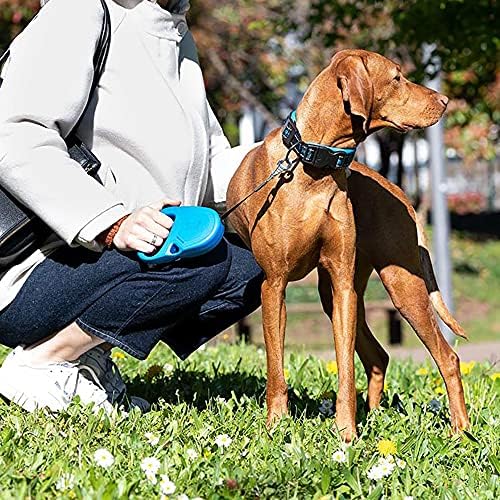 Retractable Leash for Medium Large Dogs Flippy ONE Tape M, 5 m extendable Tape, max 25 kg, Red