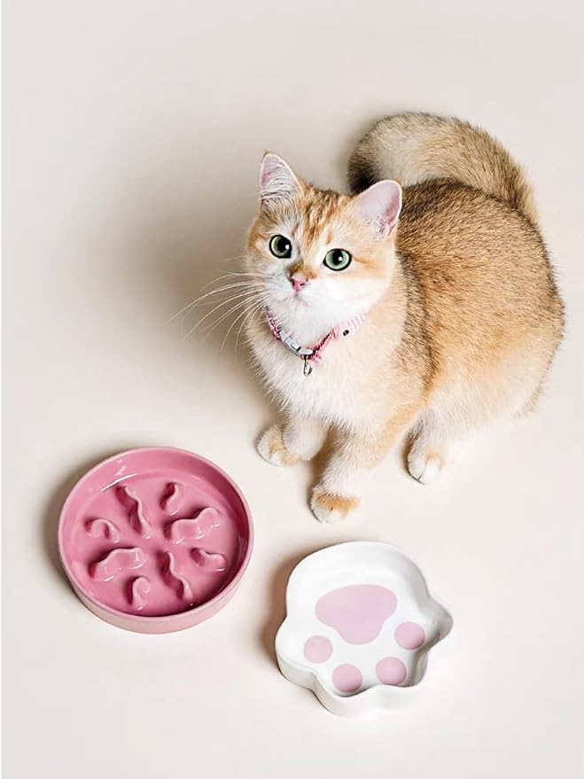 LE TAUCI PET Ceramic Slow Feeder Dog Bowls Small Breed, 0.5 Cups Dog Food Dish for Fast Eaters, Puzzle Bowl for Small Dogs and Cats, 5.5 Inch-Pink