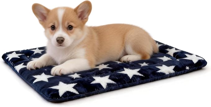 Washable Dog Bed Mat With Anti-Slip Bottom, Deluxe Plush Memory Foam Crate Pad & Waterproof Outdoor Kennel Mat For Dogs & Cats-Durable Crates Beds, Large Medium Small Puppy Size 24" x 18",Blue
