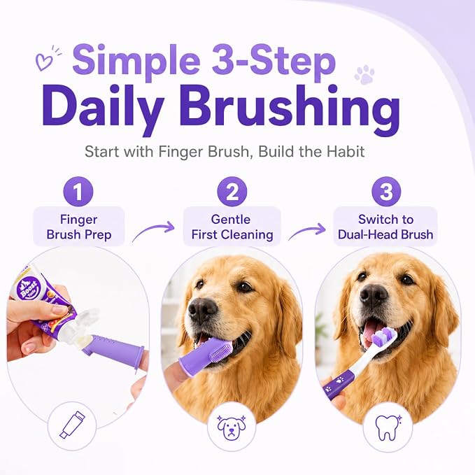 Dog Toothbrush Kit, 2.5oz Toothpaste, Dual-Head & Finger Brush | Gentle Dog Care. For Dogs Over 20 lb. Soft Brush Comfort. Coconut Chicken Flavor. Easy Daily Routine.