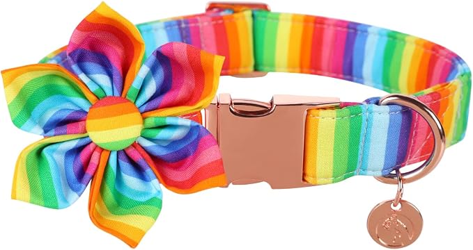 DOGWONG Cotton Pride Dog Collar, Rainbow LGBTQ Dog Collar Puppy Pet Collar for Small Medium Large Dog