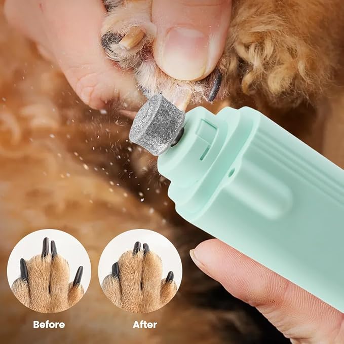 2-in-1 Dog Nail Grinder & Dog Nail Clippers Trimmers, Dogs Trimmer with LED Light + Splash Guard + Storage Case, Pet Claw Clippers for Dogs Cats, USB Rechargeable (Green)