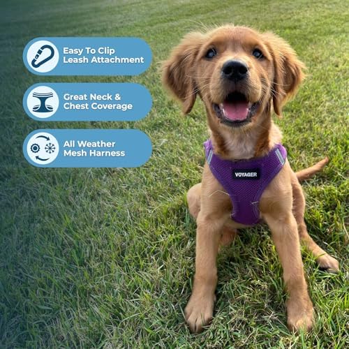 Best Pet Supplies Voyager Step-in Air All Weather Mesh Harness and Reflective Dog 5ft Leash Combo with Neoprene Handle, for Small, Medium and Large Breed Puppies - Purple, Small