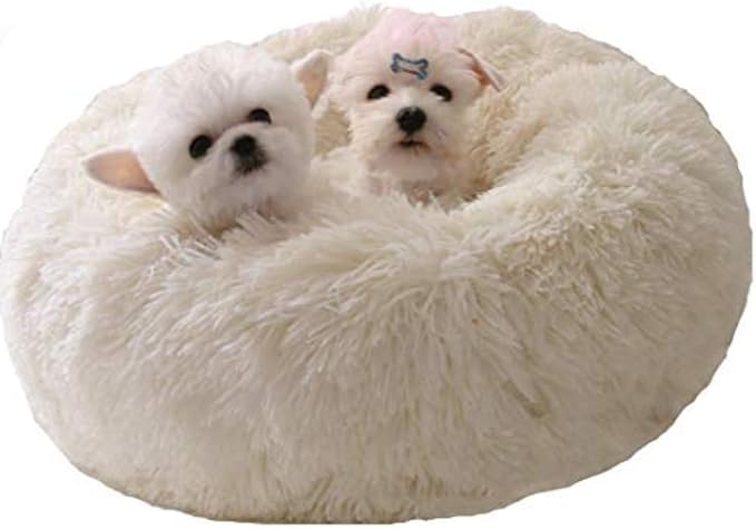 Modern Soft Plush Round Pet Bed for Cats or Small Dogs, Mini Medium Sized Dog Cat Bed Self Warming Autumn Winter Indoor Snooze Sleeping Cozy Kitty Teddy Kennel (24'' D x 8'' H, White)