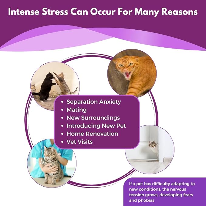 Cat Calming Pheromone Diffuser - 1 Diffuser Head & 2 Refills for 60 Days - Anxiety Relief Cat Essentials Products - Calm Cats Accessories - Cat Pee Prevention Supplies