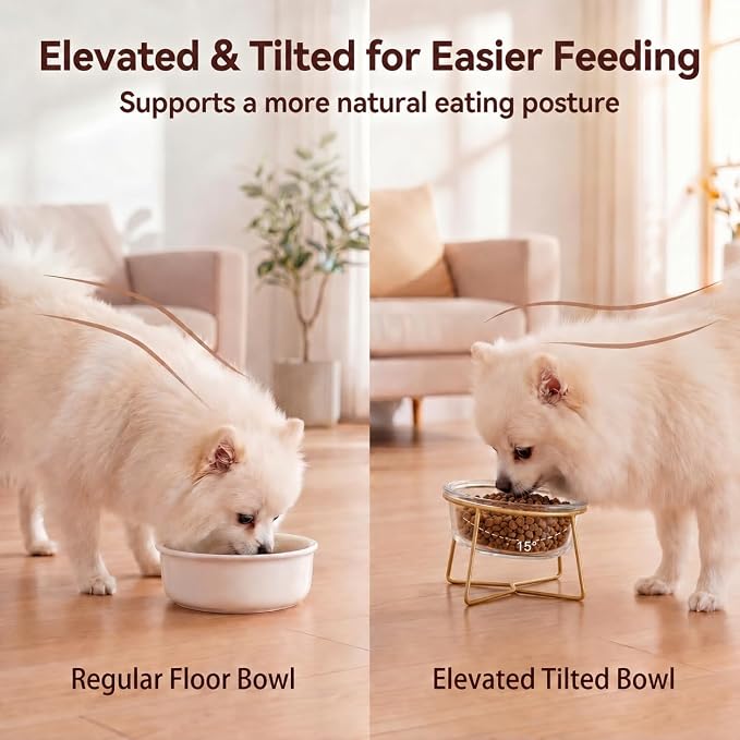 Small Glass Tilted Elevated Cat Dog Bowl Raised Cat Food Water Bowl Dish Pet Comfort Feeding Bowls with Gold Iron Stand