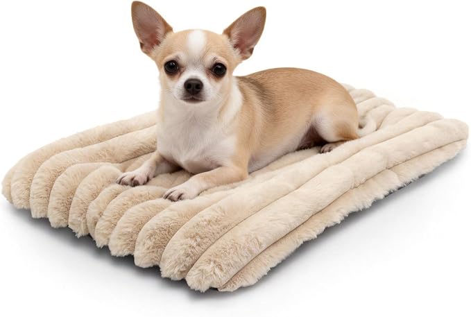 Puppy Bed for Crate or Cage 18 x 12 Inch fits Tiny Dogs, Fluffy Comfy Flat Cat Beds for Indoor Cats Washable, Extra Small Dog Bed Cat Carrier Pad Ultra Soft Kennel Mat for Pet Sleeping Cushion, Beige