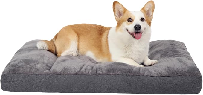 NUPIDA Dog Bed for Crate for Small Dogs, Machine Washable Bed Plush Pet Kennel Pad with Non-Slip Bottom, Pet Sleeping Mat, 23x17 Inch, Dark Gray