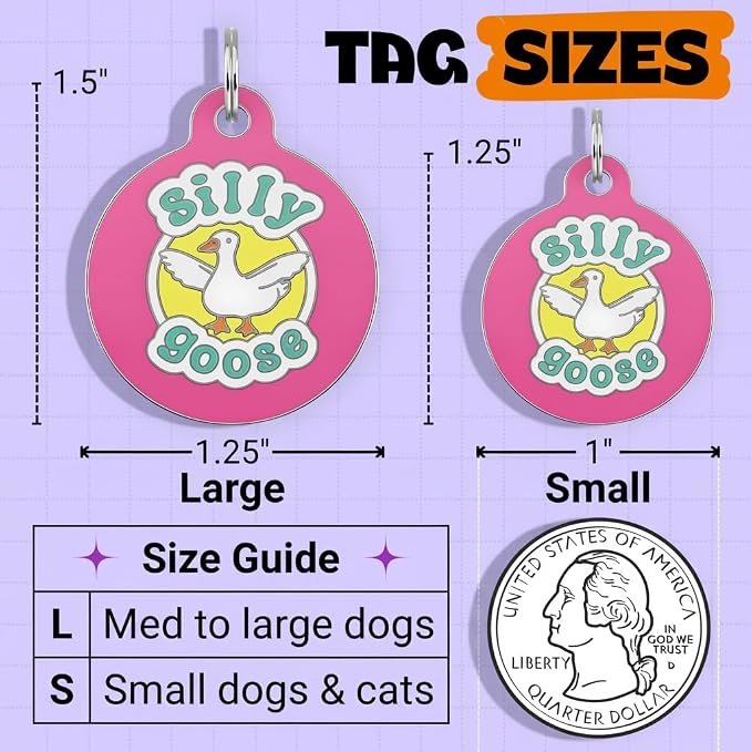 Bad Tags Personalized Dog and Cat ID Tags in 25+ Designs and 2 Sizes - 5 Lines of Custom Engraved Text - Funny Cute Personalized Pet Tags (Silly Goose - Pink, Large (1.25 inch))
