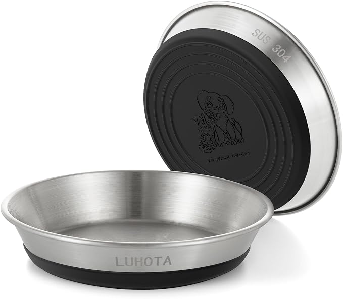 Cat Bowls, 1 Pcs Cat Bowls for Food and Water, Perfect Feeding Set for Your Lovely Cats with Separate Food & Water Dishes (Stainless Steel) ASIN B0FNVHDPML
