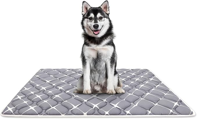 Bubble bear Dog Crate Mat - Ultra Soft, Washable & Anti-Slip Kennel Pad for Small/Medium/Large Dogs, Dark-Hued to Hide Stains (48"x30")