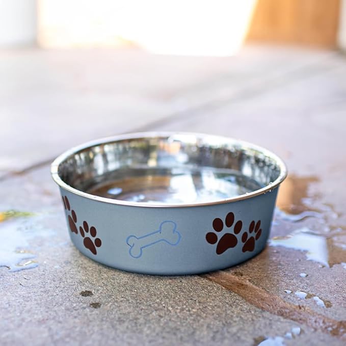 Loving Pets Bella Dog Bowls - Stainless Steel Dog & Cat Bowls - Spill Proof Dog Food Bowl, Cat Bowl, Puppy Essentials & Pet Supplies Great for Home & Travel (Small 10-20 lbs, Blueberry)