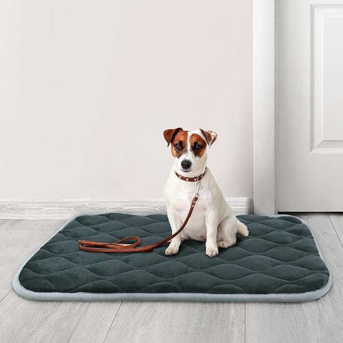 Dog Bed Mat Crate Pad, Anti-Slip Bottom Machine Washable Pet Pad | Thick lightweight mat with anti-slip bottom, machine washable. Ideal for dogs, cats in crates, home & car, S 24x18'', Grey