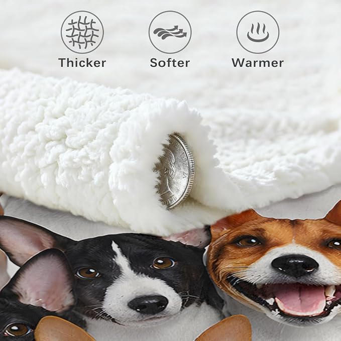 BlessLiving Fuzzy Dogs Blanket for Kids Adults Cute Puppy Fleece Blanket Reversible Animal Pattern Sherpa Throw (Basenji,Twin, 60 x 80 Inches)