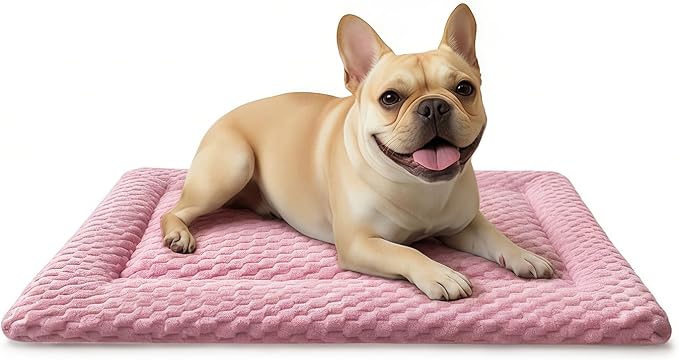 Dog Bed Mat, Dual-Sided Dog Crate Bed Mat - Ultra Soft & Machine Washable Kennel Pad for Small Dogs, All-Season Comfort Pet Bed for Crates, Travel, and Home, Pink, 24 x 16 Inch