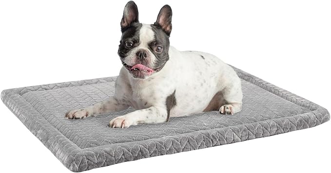 BEAUTYZOO Dog Crate Pad Washable Ultra Soft Pet Kennel Mat Medium, 30" Gray | Ultra Soft Crate Pad,Anti-Slip Bottom,Waterproof Lining Protects Floors & Furniture,Comfortable Cozy Mats for Cage Car Travel