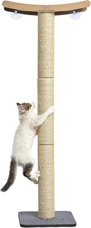 Cat Scratching Post with Perch for Large Cats – Modern Hammock Window Bed, Strong Suction Cups, Durable Eco, Space Saving Furniture for Indoor Cats