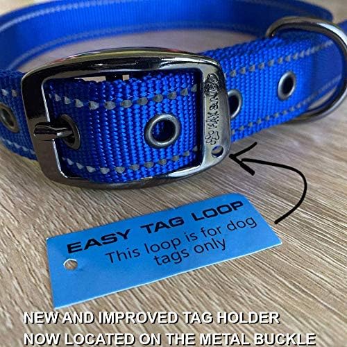 Max and Neo MAX Reflective Metal Buckle Dog Collar - Medium, Orange