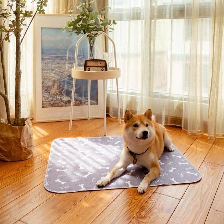 2 Pack 18"x24" Washable Pee Pads for Dogs, Super Absorbent Reusable Training Dog Pads with Bone Print, Non-Slip Potty Pads for Whelping, Playpen, Crate, Bed