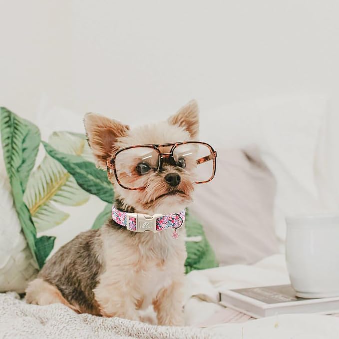 Floral Dog Collar, Cute Girl Dog Collars - Pastel Wildflowers Pattern Spring Summer Puppy Collar, Adjustable Female Dog Collars for Small Medium Large Dogs XL