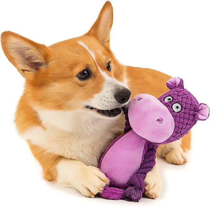 Plush Hippo Dog Toy with Rope Arms, Squeaky Interactive Pet Toy, Purple, for Small & Medium Dogs