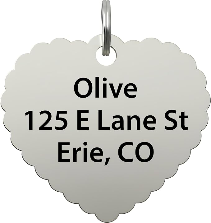 Bad Tags Personalized Dog and Cat ID Tags in 25+ Designs and 2 Sizes - 3 Lines of Custom Engraved Text - Funny Cute Personalized Pet Tags (I'm Just A Baby, X-Large (1.5 inch))