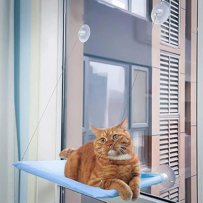 Blue Cat Hammock for Window, Cat Window Perch for Indoor Cats | Cat Window Bed Suction Cups Cat Window Hammock Space Saving Window Seat for Cats Inside