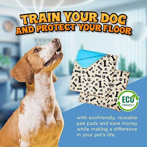 Super Absorbent Washable Pee Pads for Dogs Large 35 x 31 (2-Pack) Puppy Pads pet Training Pads Reusable Pee Pads for Dogs 100% Waterproof Dog Puppy Pee Pads Extra Large Wee Wee Pads for Dogs pet Peed